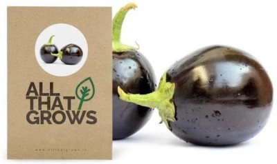 AllThatGrows Brinjal Seeds, Brinjal Round Eggplant, Aubergine Seeds Pack of 100 Seeds Seed(100 per packet)