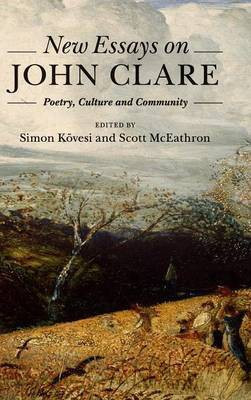 New Essays on John Clare(English, Hardcover, unknown)