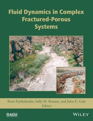 Fluid Dynamics in Complex Fractured-Porous Systems(English, Hardcover, unknown)