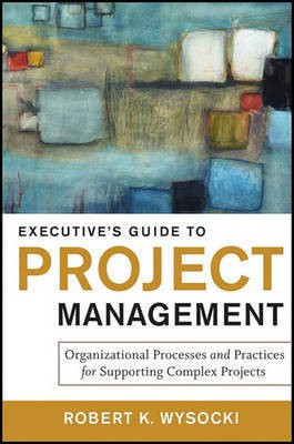 Executive's Guide to Project Management(English, Electronic book text, Wysocki Robert K.)