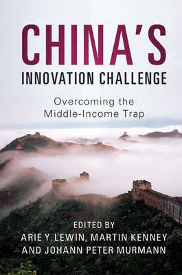 China's Innovation Challenge(English, Paperback, unknown)