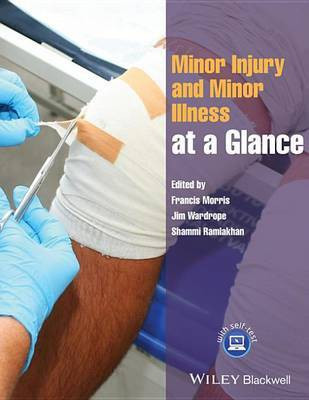Minor Injury and Minor Illness at a Glance(English, Electronic book text, unknown)