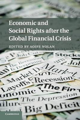 Economic and Social Rights after the Global Financial Crisis(English, Paperback, unknown)