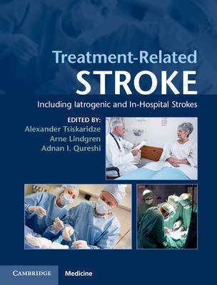 Treatment-Related Stroke(English, Hardcover, unknown)