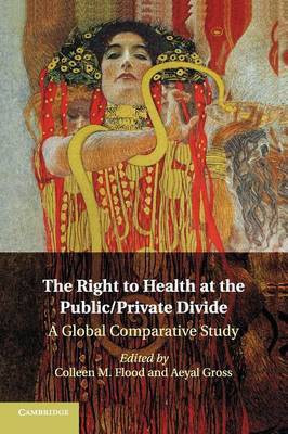 The Right to Health at the Public/Private Divide(English, Paperback, unknown)