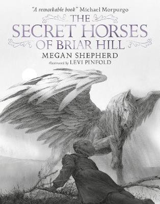 The Secret Horses of Briar Hill(English, Hardcover, Shepherd Megan)