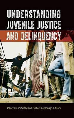 Understanding Juvenile Justice and Delinquency(English, Hardcover, McShane Marilyn D.)