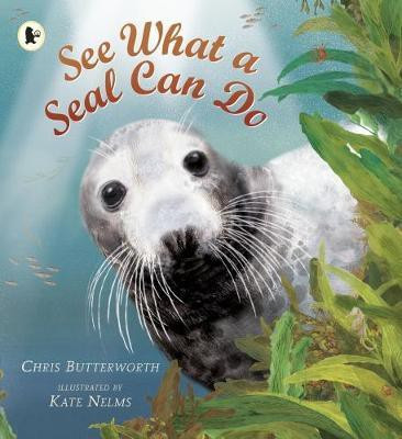 See What a Seal Can Do(English, Paperback, Butterworth Chris)