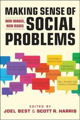 Making Sense of Social Problems(English, Paperback, Best Joel)