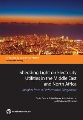Shedding Light on Electricity Utilities in the Middle East and North Africa(English, Paperback, Camos Daniel)