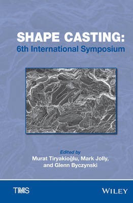 Shape Casting(English, Hardcover, unknown)