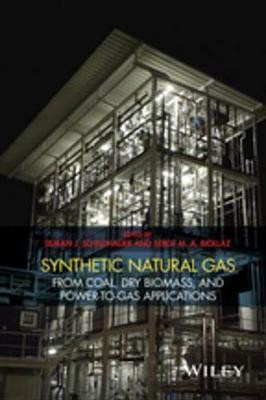 Synthetic Natural Gas(English, Electronic book text, unknown)