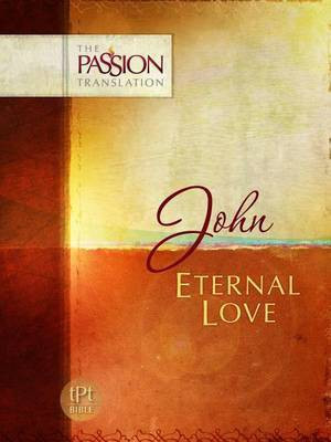 John(English, Electronic book text, Simmons Brian)