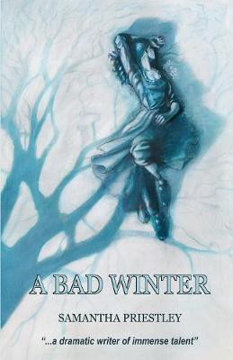A Bad Winter(English, Paperback, Priestley Samantha)