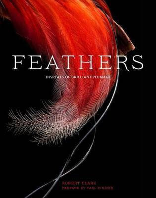 Feathers(English, Electronic book text, Clark Robert)