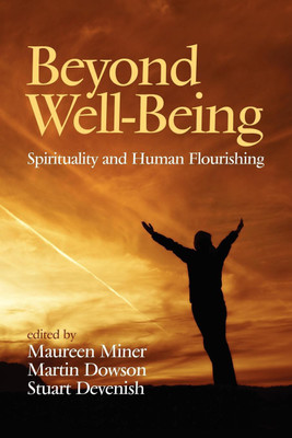 Beyond Well-Being(English, Paperback, unknown)