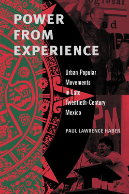 Power from Experience(English, Paperback, Haber Paul Lawrence)