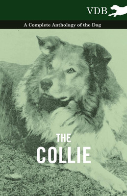 The Collie - A Complete Anthology of the Dog -(English, Paperback, Various)