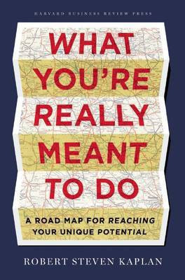 What You're Really Meant to Do(English, Electronic book text, Kaplan Robert Steven)