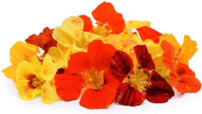 AllThatGrows Nasturtium Alaska Mix Blossoms Edible Flower Seeds Pack Of 20 Seed(20 per packet)