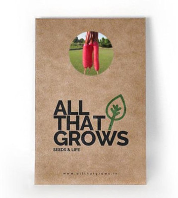 AllThatGrows Radish Pink Seeds, Chinese Non-Hybrid, Open Pollinated, Non-GMO Mooli Seeds Pack Of 100 Seeds Seed(100 per packet)