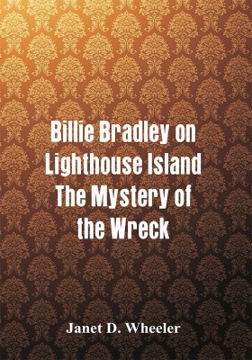 Billie Bradley on Lighthouse Island(English, Paperback, D Wheeler Janet)