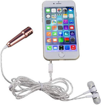 ASTOUND Portable Microphone