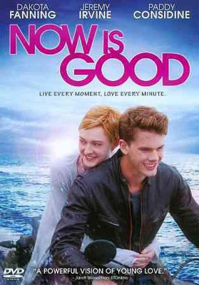 

NOW IS GOOD(DVD English)