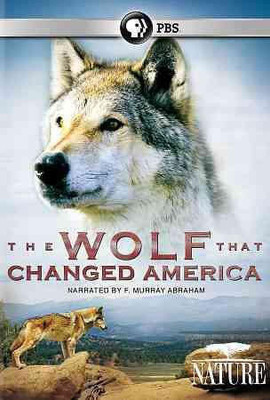 

NATURE:WOLF THAT CHANGED AMERICA(DVD English)
