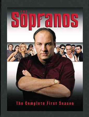 SOPRANOS:COMPLETE FIRST SEASON(DVD English)