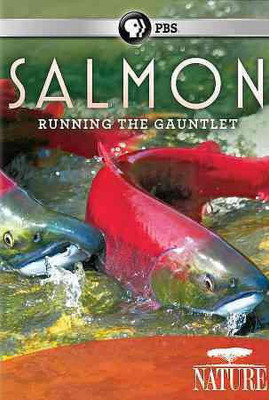 

SALMON(DVD English)
