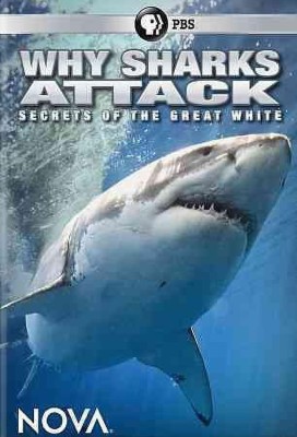 

NOVA:WHY SHARKS ATTACK(DVD English)