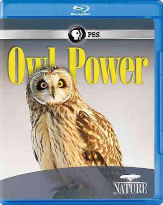 

NATURE:OWL POWER(Blu-ray English)