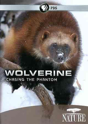 

NATURE:WOLVERINE CHASING THE PHANTOM(DVD English)