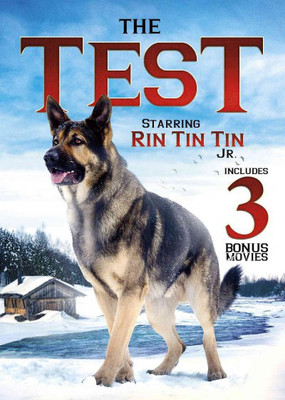

TEST(DVD English)