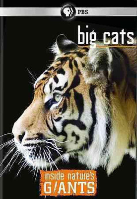 

INSIDE NATURE'S GIANTS:BIG CATS(DVD English)