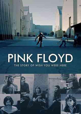 

STORY OF WISH YOU WERE HERE(DVD English)
