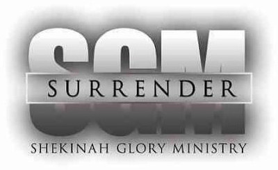 

SURRENDER(DVD English)