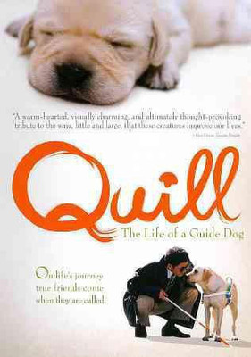 

QUILL:LIFE OF A GUIDE DOG(DVD English)