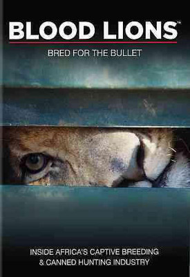 

BLOOD LIONS(DVD English)