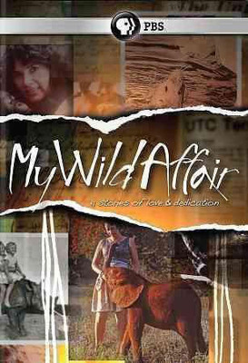 

MY WILD AFFAIR(DVD English)