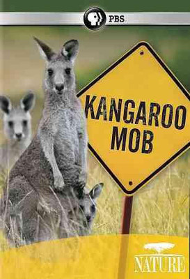 

NATURE:KANGAROO MOB(DVD English)