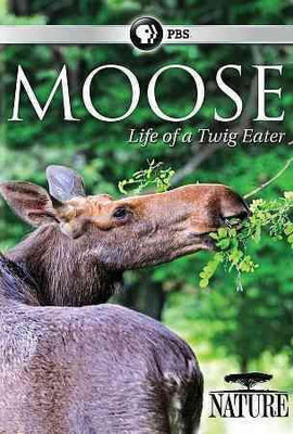 

NATURE:MOOSE LIFE OF A TWIG EATER(DVD English)