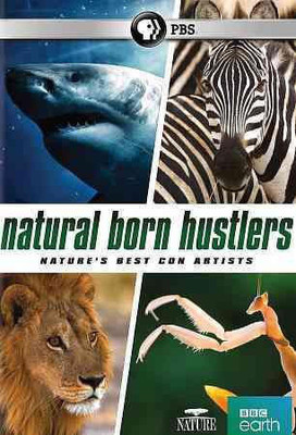 

NATURE:NATURAL BORN HUSTLERS(DVD English)