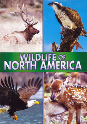 

WILDLIFE OF NORTH AMERICA(DVD English)