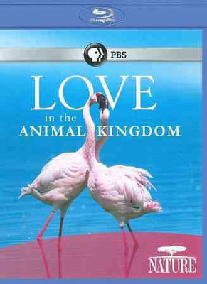 

NATURE:LOVE IN THE ANIMAL KINGDOM(Blu-ray English)