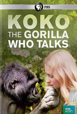 

KOKO:GORILLA WHO TALKS(DVD English)