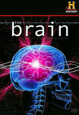 

BRAIN(DVD English)