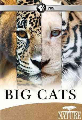 

NATURE:BIG CATS(DVD English)