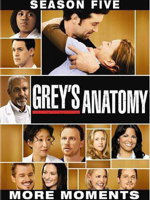 

GREY'S ANATOMY:SEASON 5(DVD English)